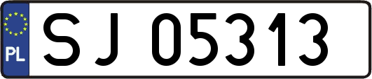 SJ05313
