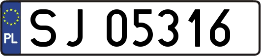 SJ05316