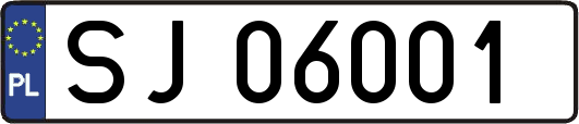 SJ06001
