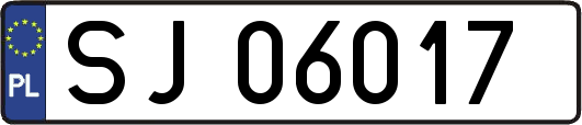 SJ06017