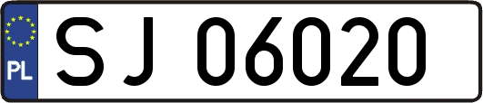 SJ06020