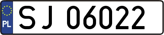 SJ06022
