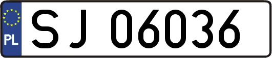 SJ06036