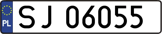 SJ06055