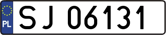 SJ06131