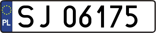 SJ06175