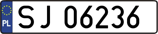 SJ06236