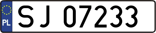 SJ07233