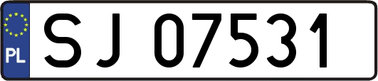 SJ07531