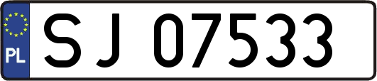 SJ07533