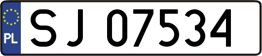 SJ07534
