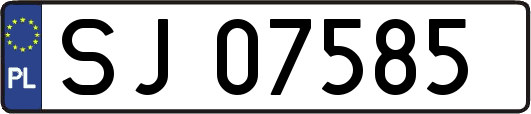 SJ07585
