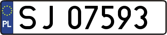 SJ07593