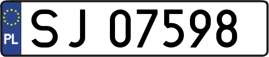SJ07598