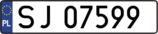 SJ07599