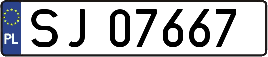 SJ07667