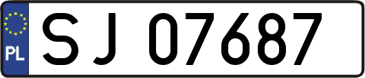 SJ07687