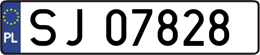 SJ07828