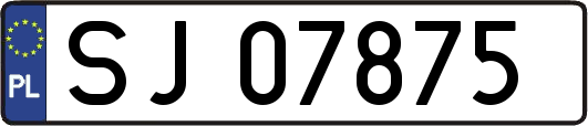 SJ07875