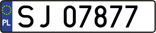 SJ07877