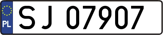 SJ07907