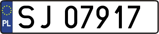 SJ07917