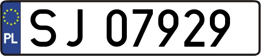 SJ07929