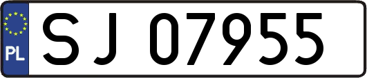 SJ07955