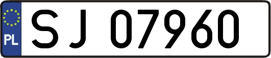 SJ07960