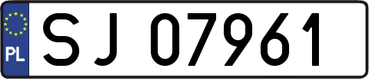 SJ07961