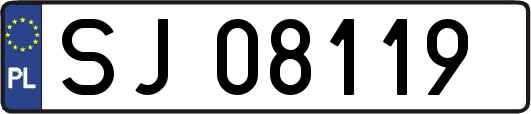 SJ08119