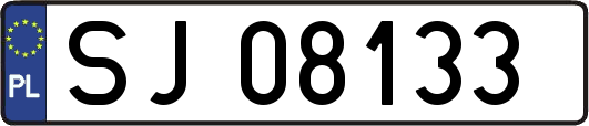 SJ08133
