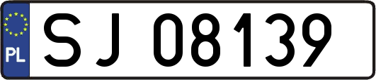 SJ08139