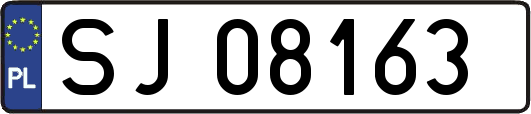SJ08163