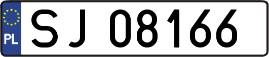 SJ08166