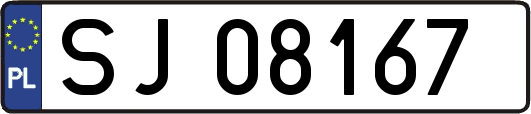SJ08167