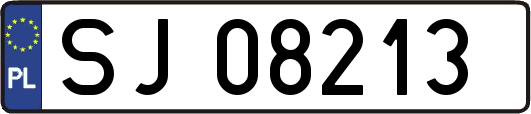 SJ08213