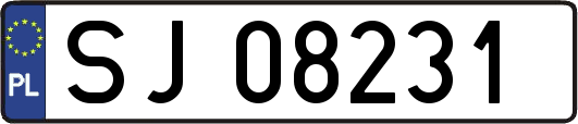 SJ08231
