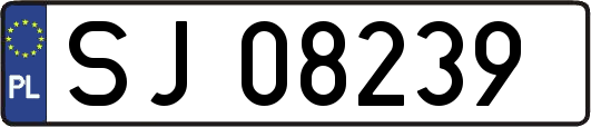 SJ08239