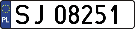 SJ08251