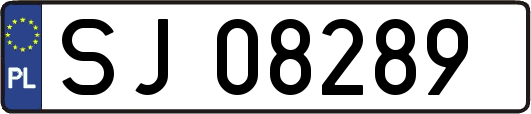 SJ08289