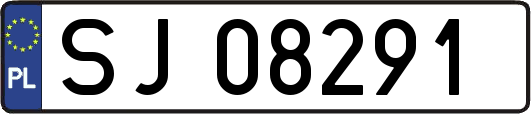 SJ08291