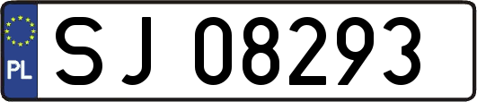 SJ08293