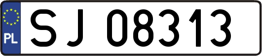 SJ08313