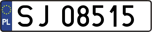 SJ08515