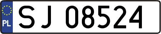 SJ08524