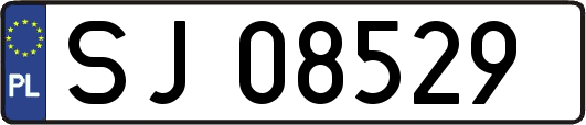 SJ08529