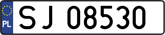 SJ08530