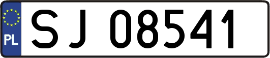 SJ08541
