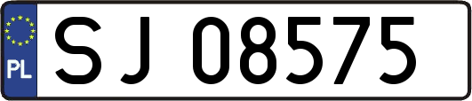 SJ08575